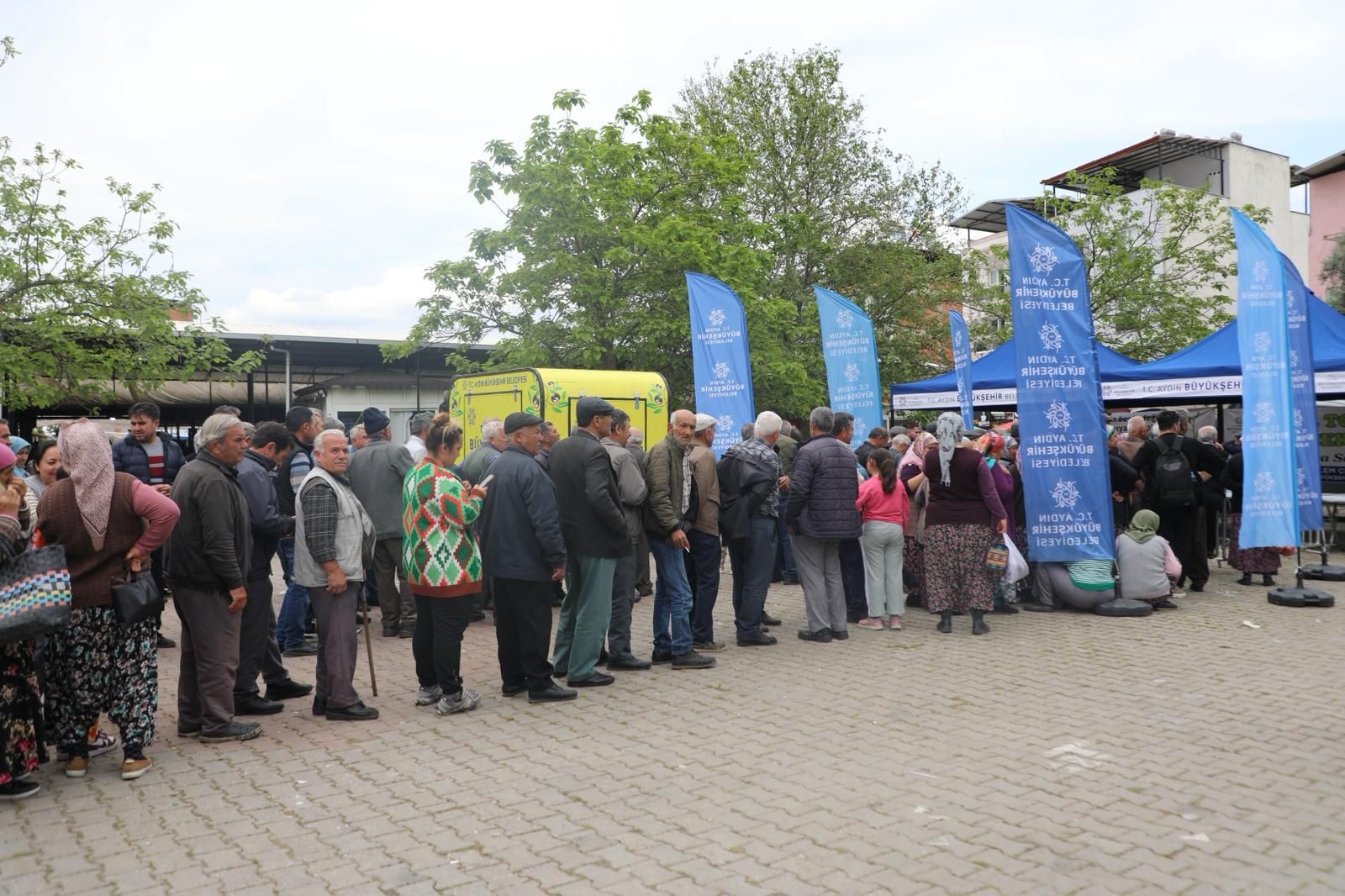 AYDIN'DA ATA TOHUMLARINDAN ÜRETİLEN FİDELER AYDINLILARA ULAŞTIRILIYOR