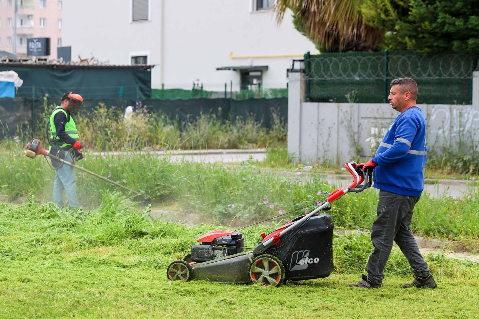 BUCA GENELİNDE KAPSAMLI KOSA SEFERBERLİĞİ 