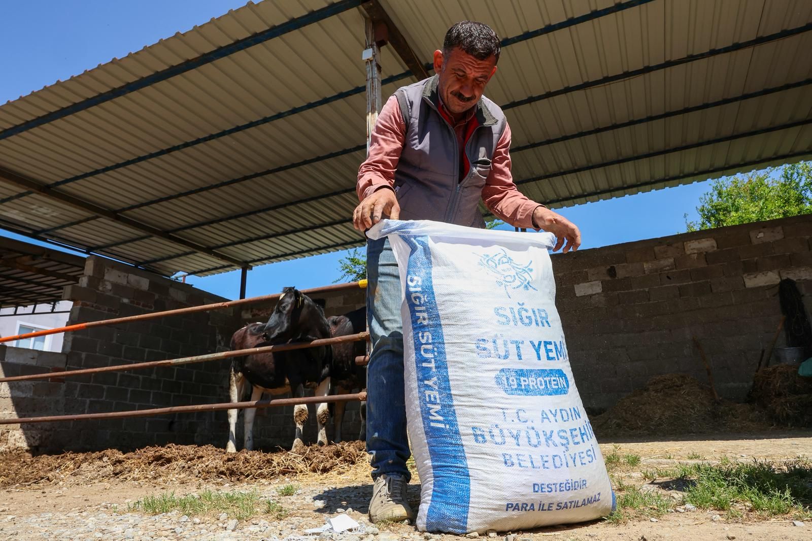 BÜYÜKŞEHİR'DEN GERMENCİK’TE KÜÇÜK ÜRETİCİLERE YEM DESTEĞİ