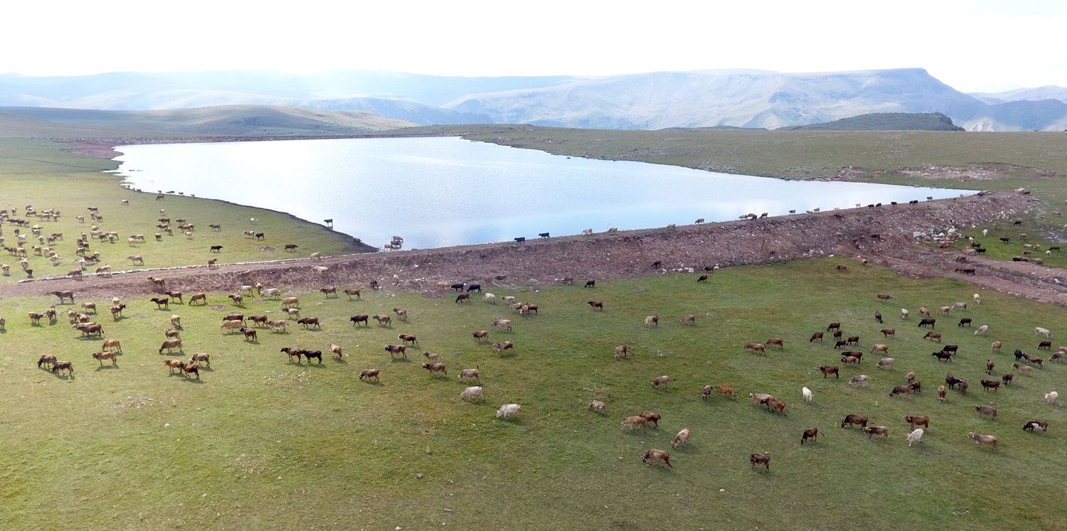 TARIM VE HAYVANCILIKTA ERZURUM MODELİ 