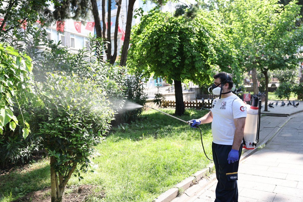 BAYRAMPAŞA’DA SİNEKLERE KARŞI “KIRMIZI ALARM” 