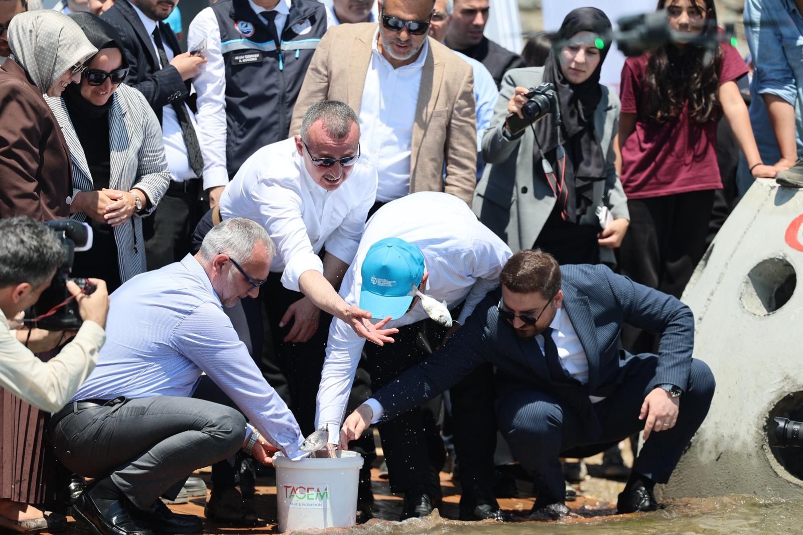 İZMİT KÖRFEZİ’NDE DİPTEN DİRİLİŞ 