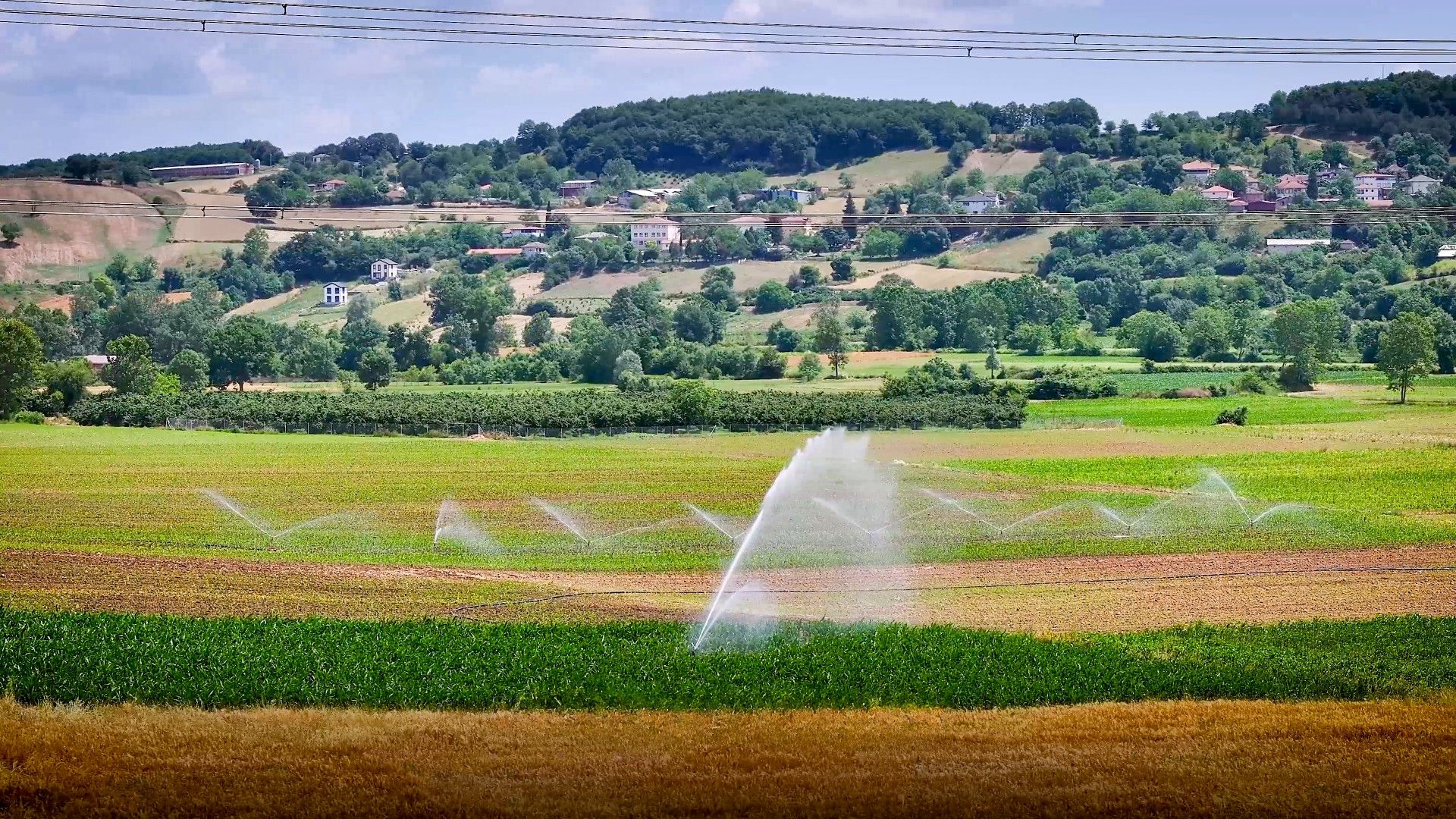 KOCAELİ TARIMINDA ÇİFT HASAT DÖNEMİ BAŞLADI