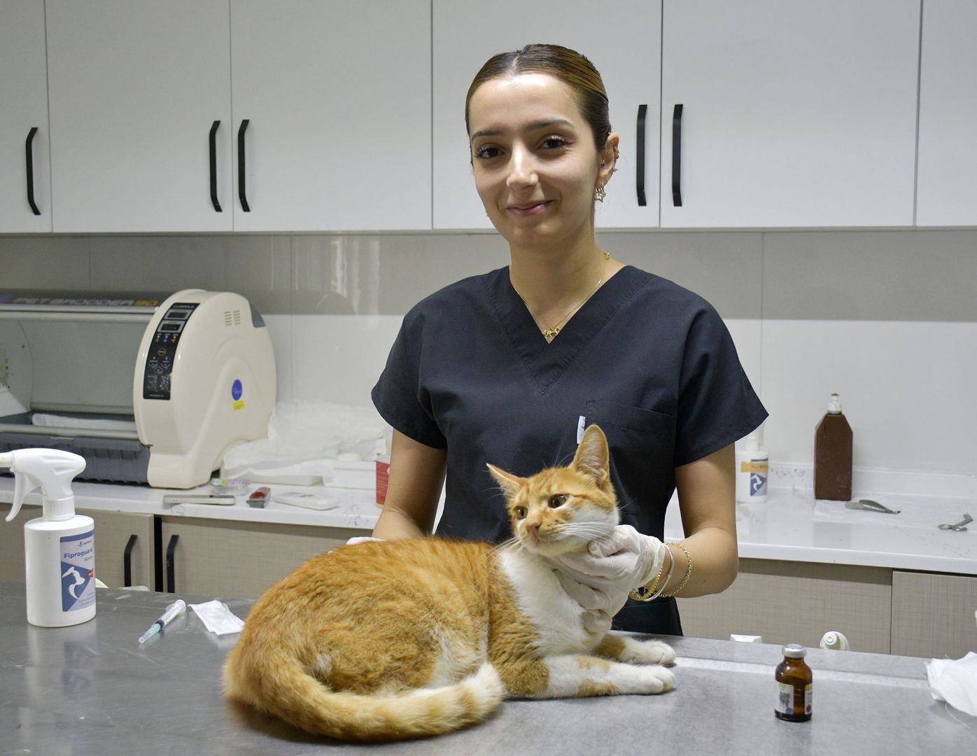 SOKAK KEDİLERİNE KUŞADASI’NDAN ÜCRETSİZ SAĞLIK HİZMETİ 